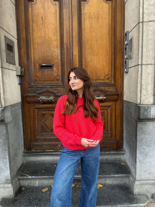 Pull Sunny Rouge à Levre