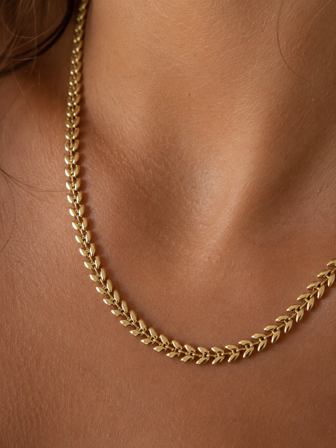 Collier Ely
