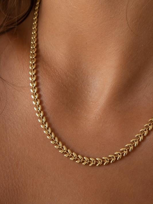 Collier Ely