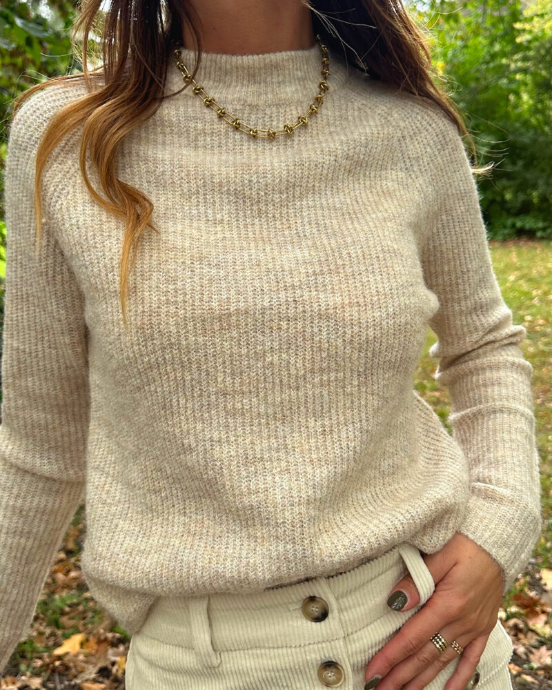 Notre nouveau pull Seyana beige tout doux sera parfait pour la saison automnale ! Coupe droite Col rond Maille douce Modèle chaud, idéal pour les jours plus froids Il sera parfait sous une veste mi-saison ou en superposition au dessus d’une robe avec une jolie paire de bottines ou de baskets !