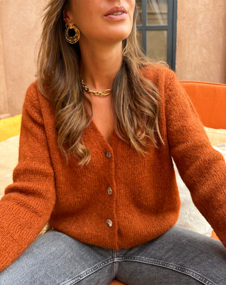 Voici Amelia, notre nouveau gilet extra doux en mohair ! Un indispensable qui va avec tout… Col V Coloris terracotta 4 boutons sur le devant Maille toute douce et chaude Coupe droite légèrement oversize Fabriqué en Italie On aime le porter avec un pantalon taille haute et des bottines pour dynamiser le look ou bien en superposition au dessus d’une robe !