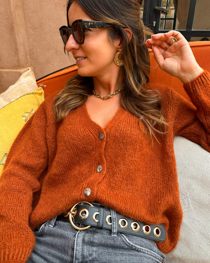 Voici Amelia, notre nouveau gilet extra doux en mohair ! Un indispensable qui va avec tout… Col V Coloris terracotta 4 boutons sur le devant Maille toute douce et chaude Coupe droite légèrement oversize Fabriqué en Italie On aime le porter avec un pantalon taille haute et des bottines pour dynamiser le look ou bien en superposition au dessus d’une robe !