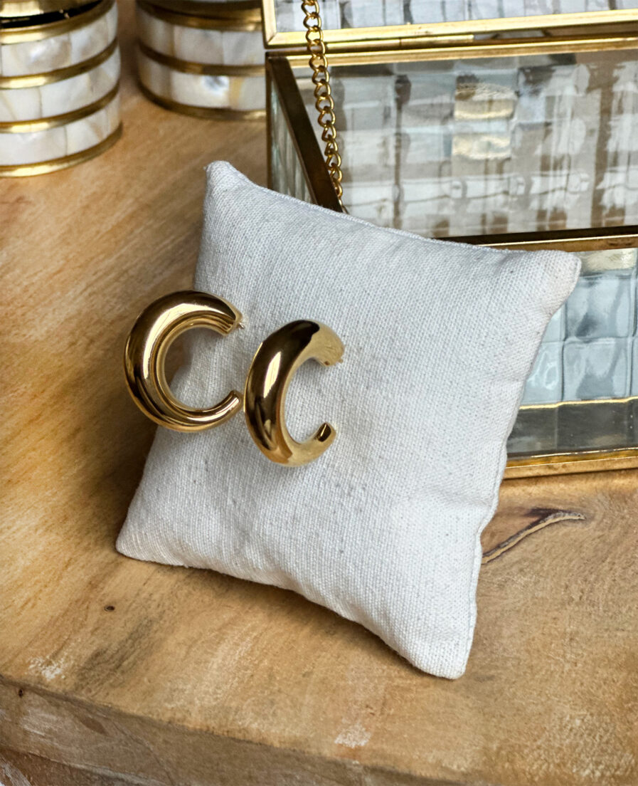 Nos nouvelles petites créoles vont vous faire craquer ! Lili est la paire de créoles à avoir dans sa jolie boite à bijoux ! Acier inoxydable Diamètre : 2cm Ultra tendances, les créoles vont avec tout et illumineront toutes vos tenues ! À vous de les adopter quotidiennement !