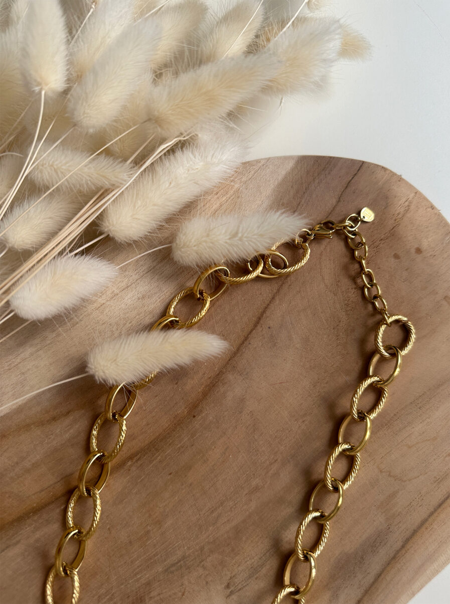 Le collier Carméla est le bijou intemporel qui traverse les saisons sans jamais perdre de son éclat. Ses maillons dorés texturés en acier inoxydable lui donnent une allure à la fois moderne et classique, idéale pour toutes celles qui aiment les pièces fortes et élégantes. Grâce à son design chic et minimaliste, Carméla se porte avec absolument tout ! Matière : acier inoxydable Longueur : 20 cm Fermoir toggle pratique et stylé